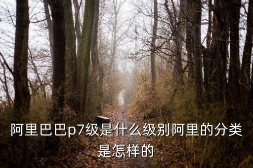 阿里巴巴p7級是什么級別阿里的分類是怎樣的