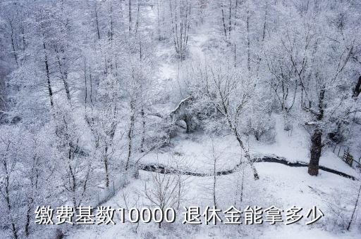 月入一萬退休金多少錢,中國退休金一萬以上的人有多少