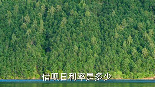 借唄一天多少利息是多少,借唄借一萬分12期總共要多少利息