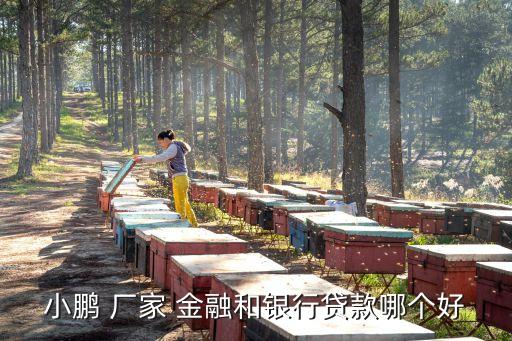 小鵬 廠(chǎng)家 金融和銀行貸款哪個(gè)好