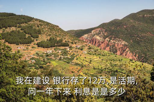 我在建設(shè) 銀行存了12萬,是活期,問一年下來 利息是是多少