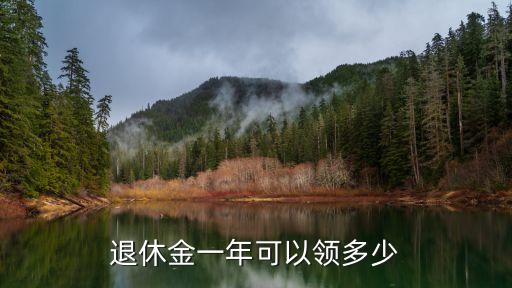 退休金一年可以領(lǐng)多少