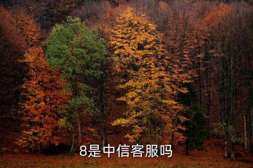 湖州中信銀行招聘電話號碼多少錢,中信銀行中心電話號碼是多少?