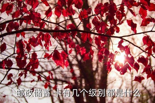  郵政儲(chǔ)蓄 卡有幾個(gè)級(jí)別都是什么