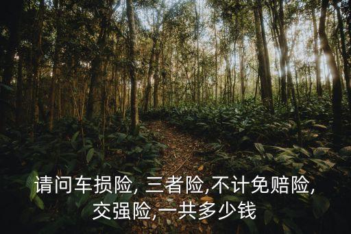 請問車損險, 三者險,不計免賠險,交強險,一共多少錢