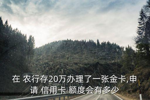 農(nóng)行辦信用卡額度多少,辦農(nóng)行信用卡有什么好處和壞處