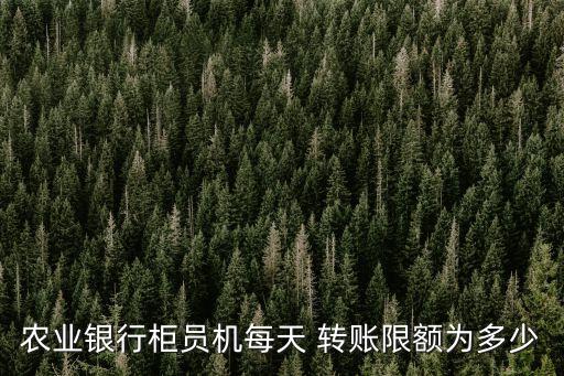 農(nóng)行一次性可以轉(zhuǎn)賬多少時間,農(nóng)行掌上銀行一次性轉(zhuǎn)賬能轉(zhuǎn)多少