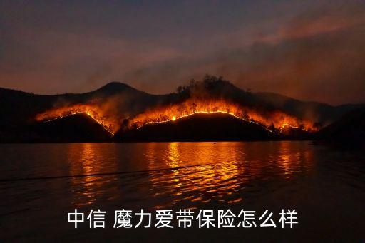 中信 魔力愛(ài)帶保險(xiǎn)怎么樣