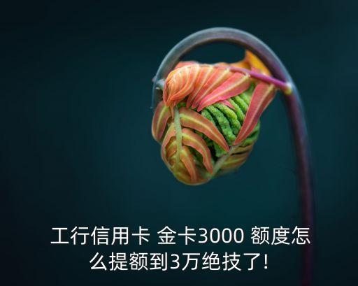 工行環(huán)球金卡額度多少錢,工行金卡額度一般是多少