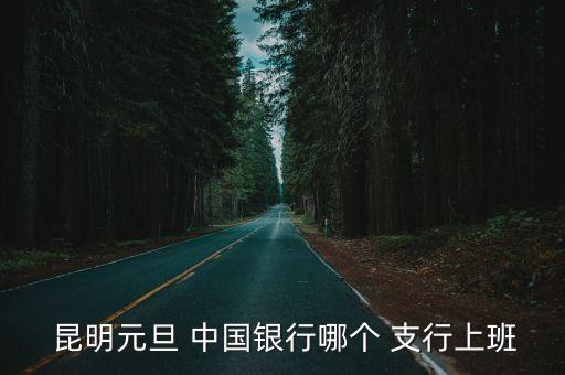  昆明元旦 中國銀行哪個 支行上班