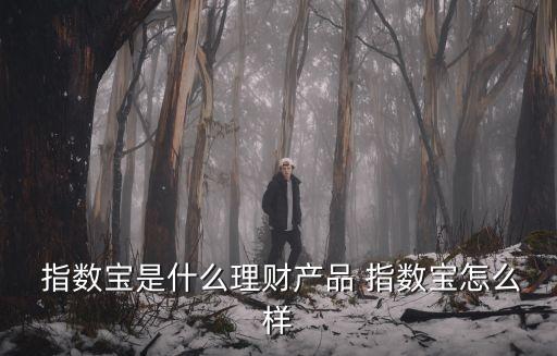 融通創(chuàng)業(yè)板指數(shù)基金凈值是多少
