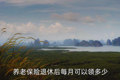養(yǎng)老保險以后能領(lǐng)多少工資,現(xiàn)在交的養(yǎng)老保險以后可以領(lǐng)多少