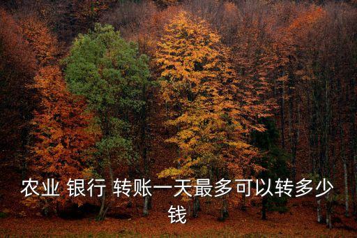 農(nóng)業(yè) 銀行 轉(zhuǎn)賬一天最多可以轉(zhuǎn)多少錢