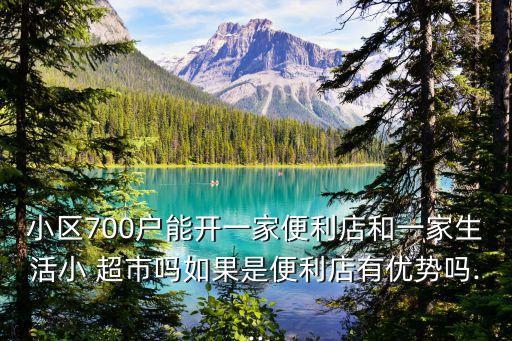 小區(qū)700戶能開一家便利店和一家生活小 超市嗎如果是便利店有優(yōu)勢嗎...