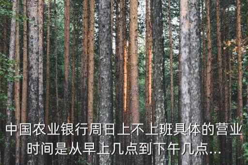 濟(jì)南農(nóng)行平安支行電話是多少,農(nóng)行濟(jì)南高新區(qū)支行電話