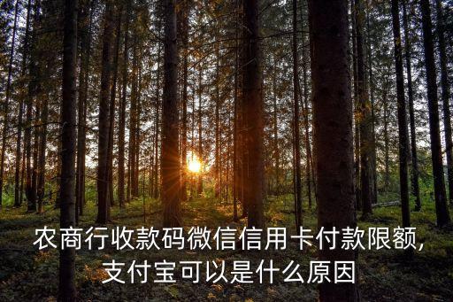 農(nóng)商銀行網(wǎng)上支付額度是多少,湖南農(nóng)商銀行不能網(wǎng)上支付怎么回事