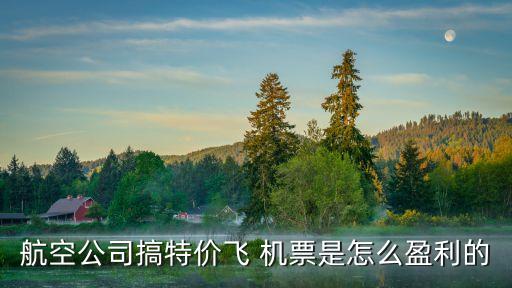 航空公司搞特價飛 機票是怎么盈利的