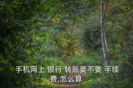  手機(jī)網(wǎng)上 銀行 轉(zhuǎn)賬要不要 手續(xù)費(fèi),怎么算