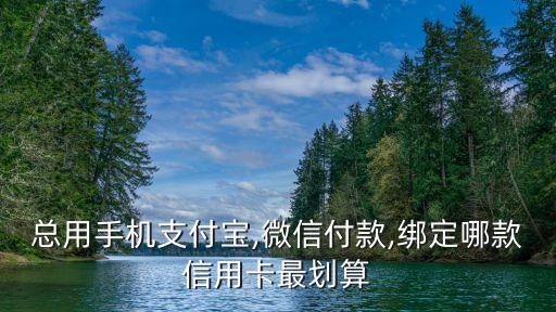 浦發(fā)淘寶卡 年費(fèi)多少,浦發(fā)車主主題卡年費(fèi)