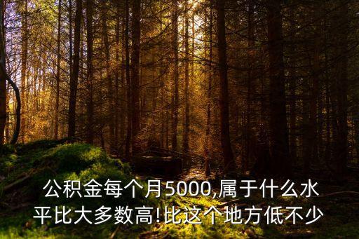 公積金每個(gè)月5000,屬于什么水平比大多數(shù)高!比這個(gè)地方低不少