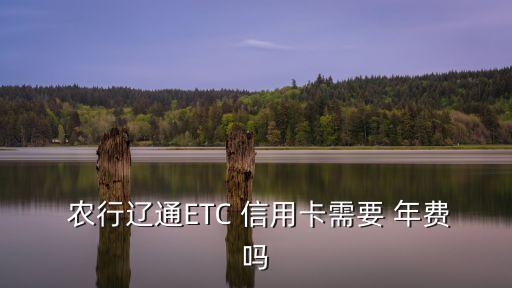 農(nóng)行etc信用卡金卡年費多少錢,農(nóng)行ETC信用卡怎么免年費