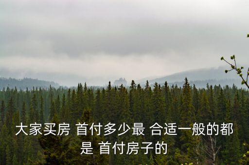大家買房 首付多少最 合適一般的都是 首付房子的