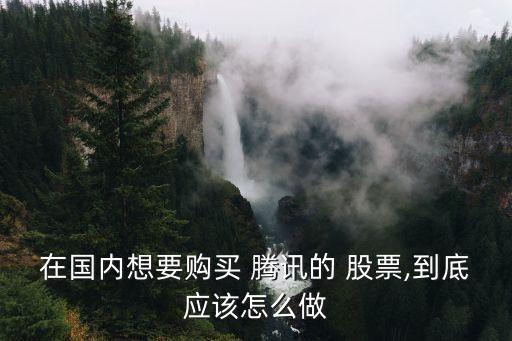 在國內(nèi)想要購買 騰訊的 股票,到底應(yīng)該怎么做