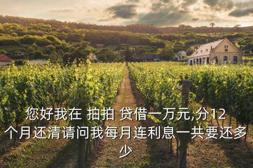 拍拍貸借7000還多少錢