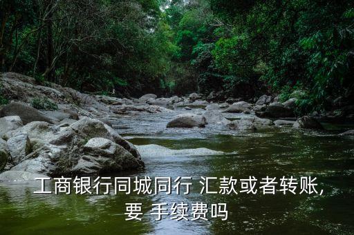  工商銀行同城同行 匯款或者轉(zhuǎn)賬,要 手續(xù)費(fèi)嗎