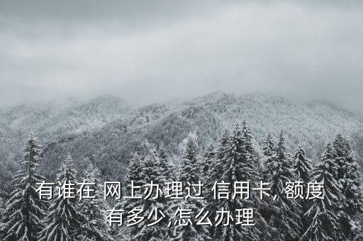 有誰在 網(wǎng)上辦理過 信用卡, 額度有多少,怎么辦理