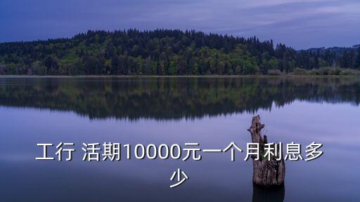 工行 活期10000元一個月利息多少