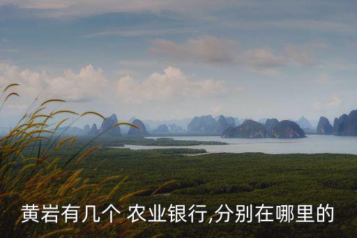 黃巖有幾個 農(nóng)業(yè)銀行,分別在哪里的