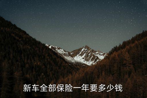 汽車第一年的保險多少錢,新能源第一年保險多少錢