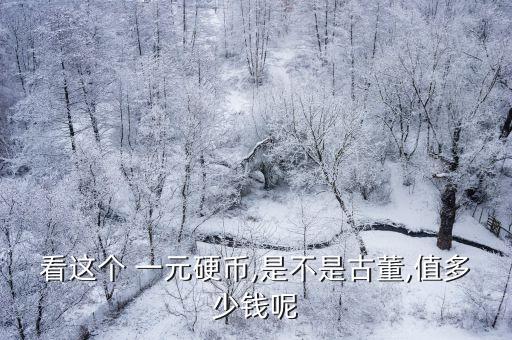 2015一元紀(jì)念幣多少錢一個(gè),一塊紀(jì)念幣等于多少元