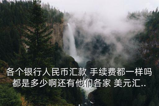 建行付美元手續(xù)費多少,建行存美元需要手續(xù)費嗎