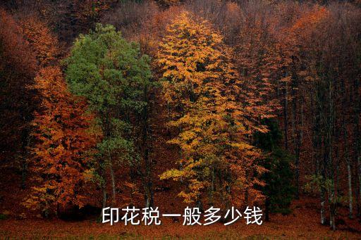 目前印花稅是多少,股票10萬(wàn)印花稅多少