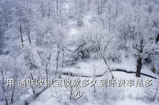 用 通聯(lián)收銀寶收款多久到賬費率是多少