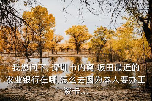 深圳農(nóng)行坂田支行電話是多少錢,農(nóng)行深圳龍華支行電話