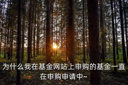 為什么我在基金網(wǎng)站上申購的基金一直在申購申請中~