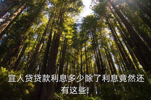  宜人貸貸款利息多少除了利息竟然還有這些!