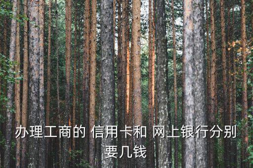辦理工商的 信用卡和 網(wǎng)上銀行分別要幾錢