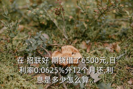 招聯(lián)好期貸每月還多少錢