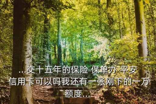 有保單平安信用卡能下多少,平安信用卡贈送的保險,怎樣查到保單