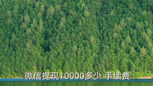  微信提現(xiàn)10000多少 手續(xù)費(fèi)