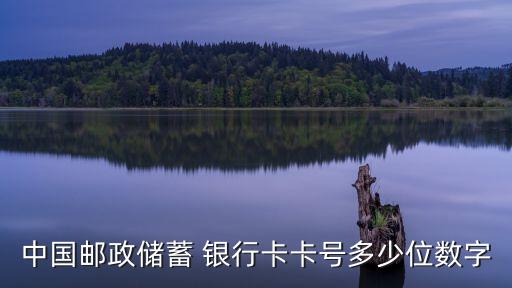 中國(guó)郵政儲(chǔ)蓄 銀行卡卡號(hào)多少位數(shù)字