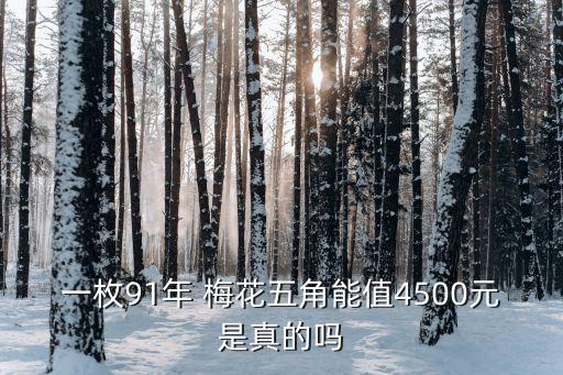 1枚梅花5角硬幣值多少錢(qián)