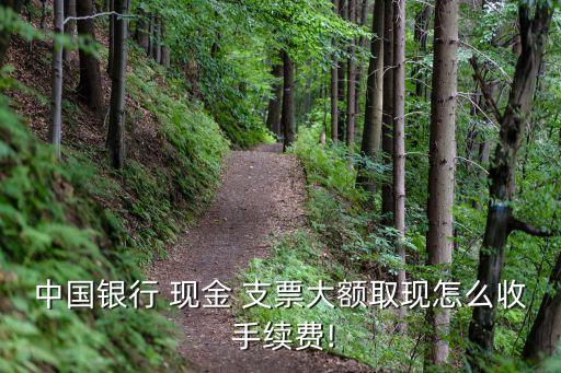 十萬(wàn)元現(xiàn)金支票手續(xù)費(fèi)是多少,現(xiàn)金支票十萬(wàn)元大寫怎么寫