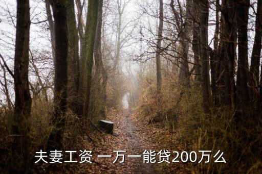 月入一萬可以貸款多少錢,一萬公積金能貸款多少