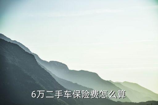 6萬二手車保險費怎么算