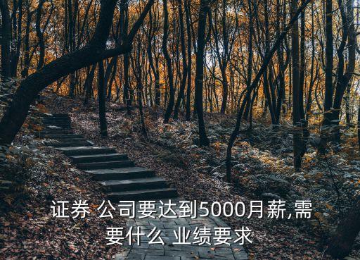  證券 公司要達到5000月薪,需要什么 業(yè)績要求